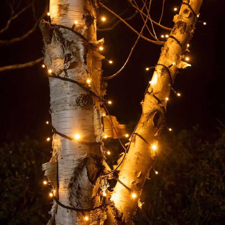 Pro Connect 25m Warm White LED Connectable String Lights with Black Cable