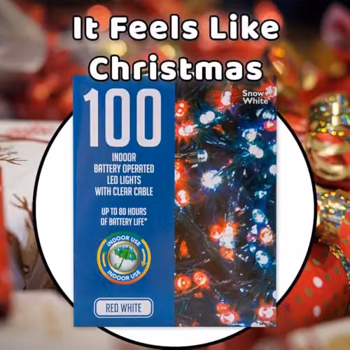 VFM e-Store Christmas String Lights with 100 Bulbs in White, Red and Multicolour – 7