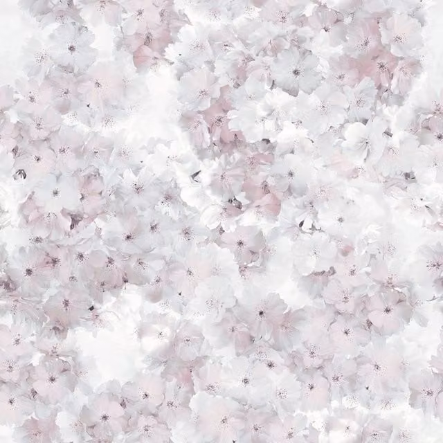 Muriva Apple Blossom Floral Botanical Wallpaper in Pink