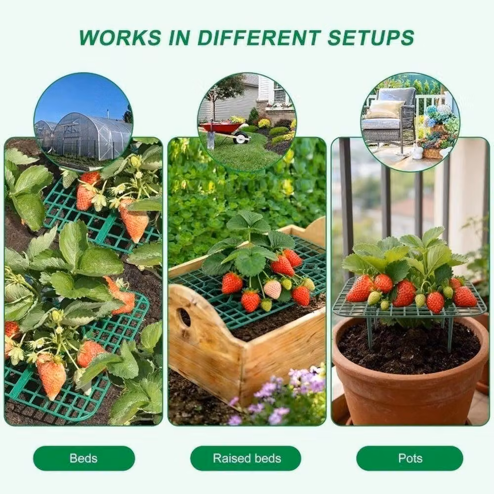 EONLION 10 Pack Green Strawberry Plant Supports – 4