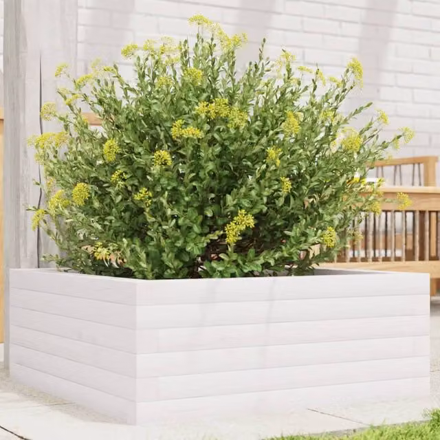 Berkfield Home White Solid Wood Pine Garden Planter Tub W: 60 cm, D: 60 cm, H: 23 cm – 1