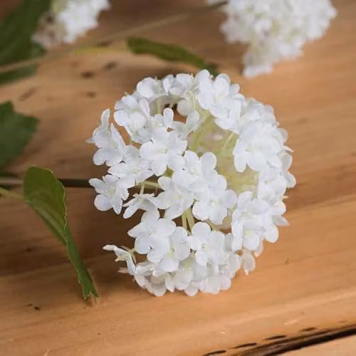 Hill Interiors Viburnum Opulus Artificial Flower in White and Green, W18 x D7 x H75 cm – 3
