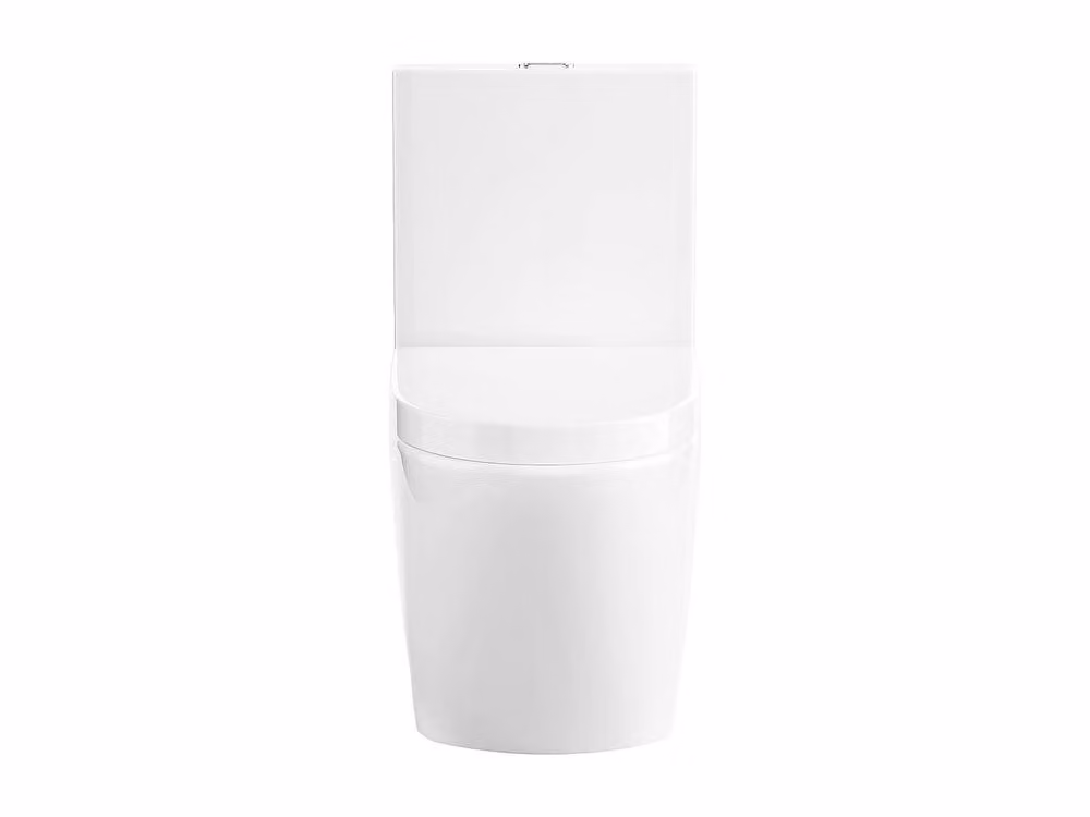 Vente-unique NAGILAM Gloss White Ceramic Floor-Standing WC with Soft-Close Seat and Horizontal Outlet, H: 78.5 cm, W: 69 cm, D: 35.3 cm – 2