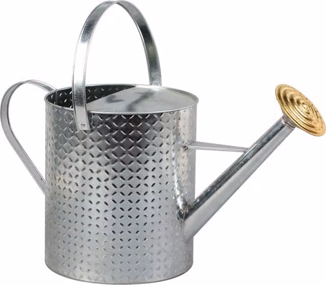 Simpa 9L Vintage Embossed Galvanised Steel Watering Can with Rose in Silver – 1