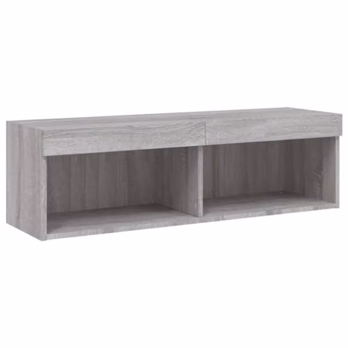 vidaXL Modern TV Cabinet with LED Lights in Grey Sonoma, W: 100 cm, D: 30 cm, H: 30 cm