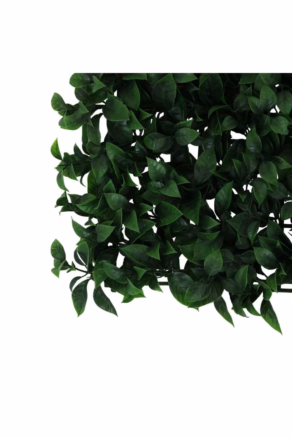 KDMD Artificial Hedge Exterior Bay Wall, Green, W/D/H: 50 x 50 x 50 cm – 3