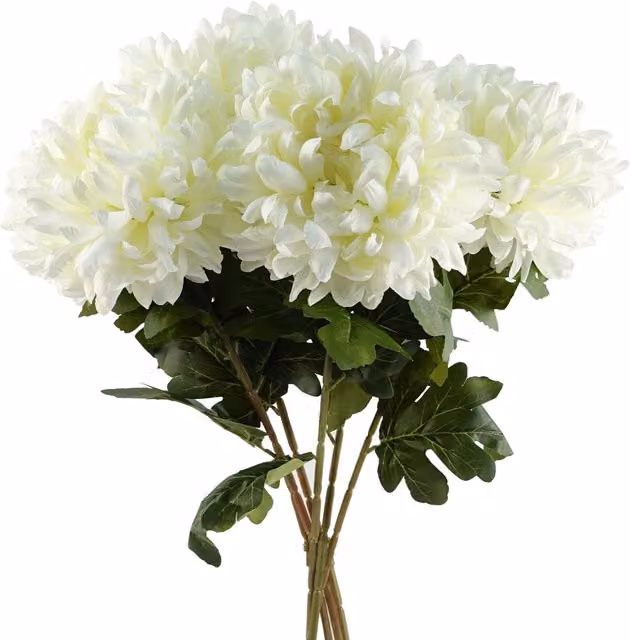 Pegdev Pack of 6 White Reflex Chrysanthemum Artificial Silk Flowers, 75 cm