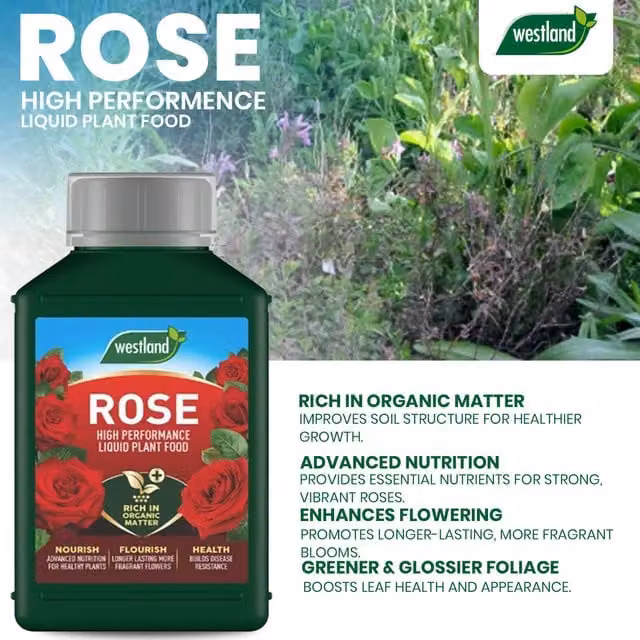 Westland High Performance Liquid Rose Plant Food and Tonic