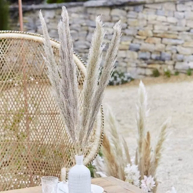 KDMD 5 Pack of Natural Beige Pampas Grass Stems