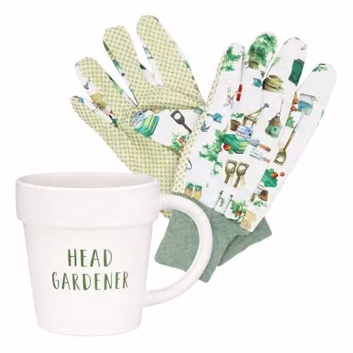 The Leonardo Collection Green Fingers Garden Gloves and Mug Set in Green and Multicolour