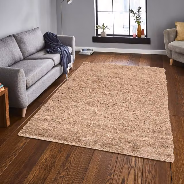 Roseley Super Soft Shaggy Rectangular Rug in Beige, 170 cm