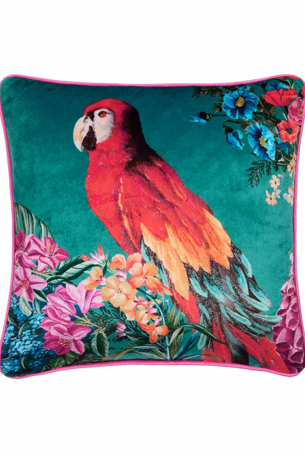 Ulster Weavers Floral Animal Velvet Cushion in Petrol, Green, Pink and Multicolour, W/D/H: 43 x 43 x 43 cm – 2