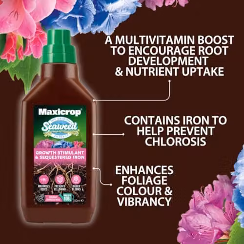 Maxicrop Sequestered Iron and Natural Seaweed Plant Tonic, 500ml – 4