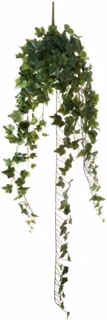 KDMD Green English Ivy Hanging Plant 130cm