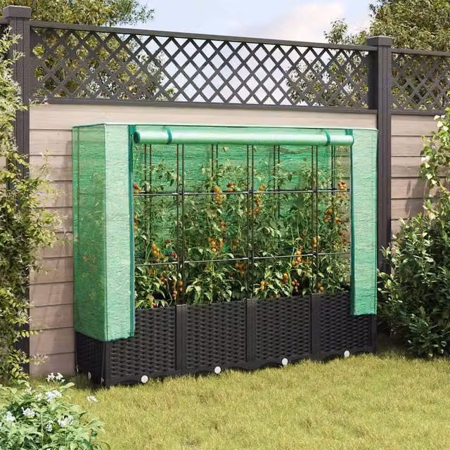 Berkfield Home Raised Bed with Greenhouse Cover in Black Rattan Look, W/D/H: 160 x 40 x 138 cm – 1