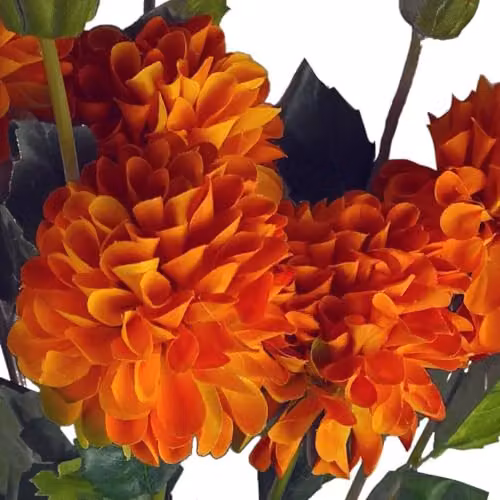 Leaf Pack of 6 Orange Artificial Dahlia PomPom Flower Stems, Height: 75 cm – 3