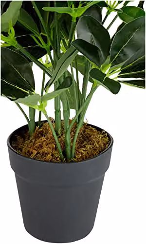 Leaf Dark Green Artificial Schefflera Arboricola Potted Plant, Height: 55 cm – 3