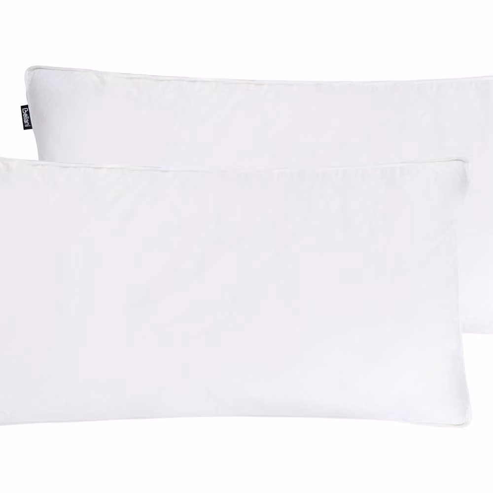 Wyld and Coco 2-Pack White Cotton Duck Down Pillows, W: 40 cm, L: 80 cm, Medium-Soft – 2