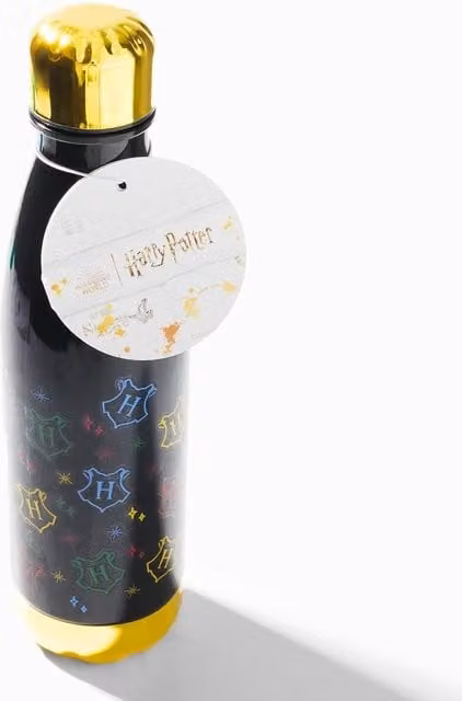 Harry Potter Black Screw Top Water Bottle, 600ml