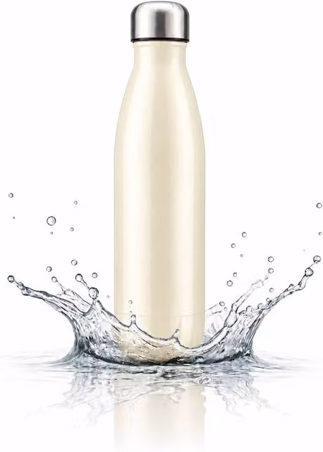 Dyzi Stainless Steel Leak Proof Water Bottle, 500ml, Beige – 1