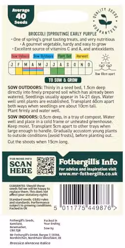 Mr Fothergill's Oh Sow Simple Purple Broccoli Vegetable Seeds – 2
