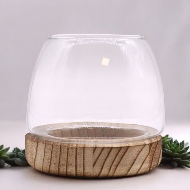 KDMD Small Round Glass Terrarium on Natural Brown Tung Wood