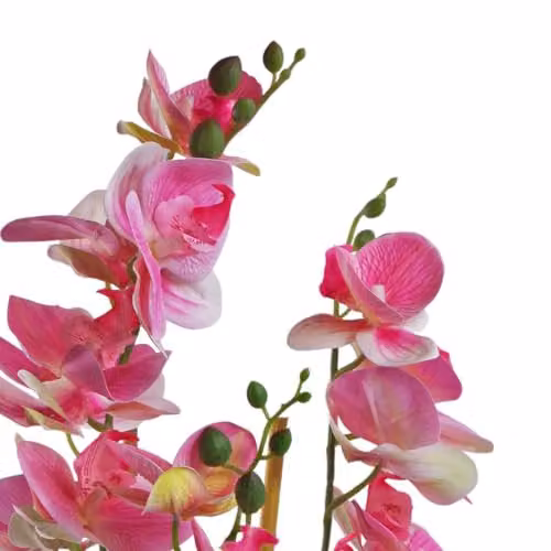 Leaf Design UK Light Pink Artificial Orchid with Black Ceramic Planter, Height: 70 cm, Width: 30 cm, Depth: 30 cm – 2