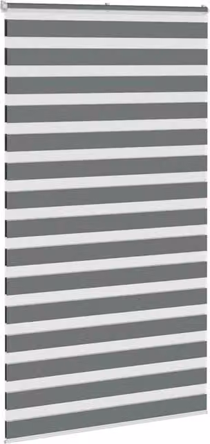 Berkfield Home Elegant Zebra Blind in Dark Grey, W: 120 cm, H: 200 cm – 1