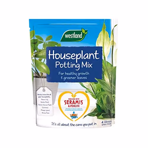 Westland Peat Free Houseplant Potting Compost Mix, 4 l