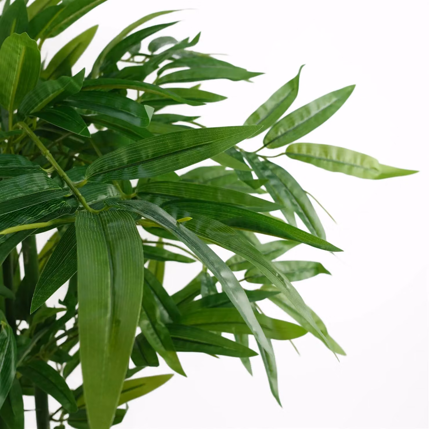 Leaf Design UK Realistic Artificial Bamboo Tree, Green – 2