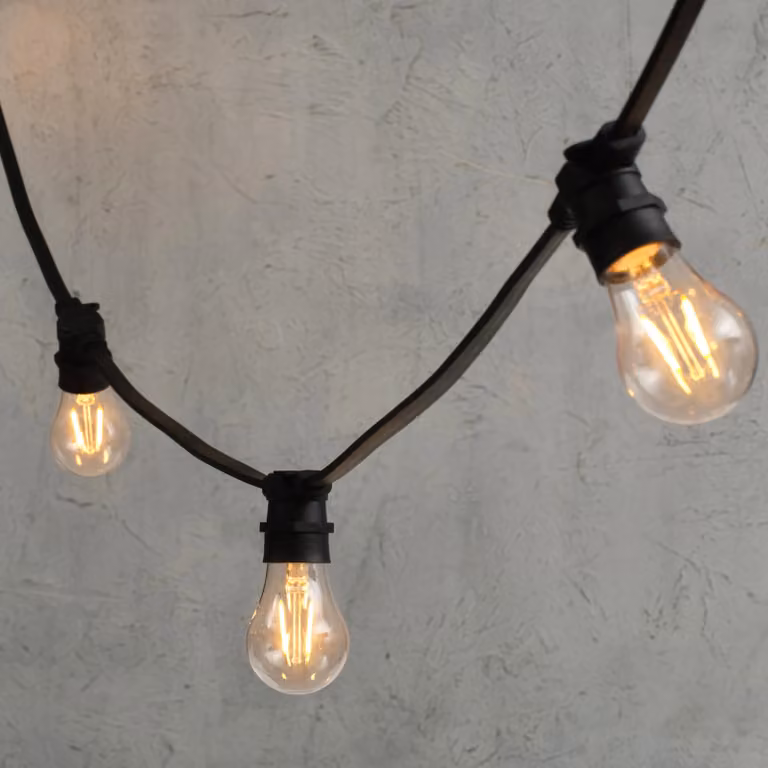 Plus Connect Warm White LED Connectable Festoon Lights with 20 A60 Vintage Bulbs, 10m Black Cable