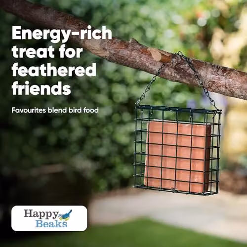 Happy Beaks Berry Flavoured Suet Blocks, 3 Pack, Natural High Energy Bird Feed with Beef Suet, Wheat and Mealworms, Orange – 4
