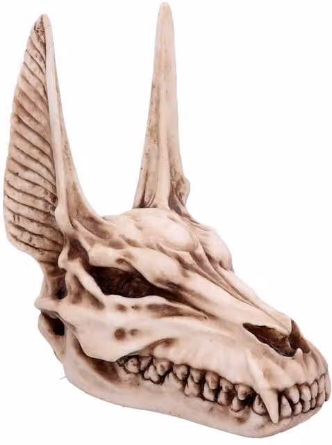 Nemesis Now Anubis Egyptian God of the Dead Skull Tabletop Ornament, Beige, Height: 17 cm