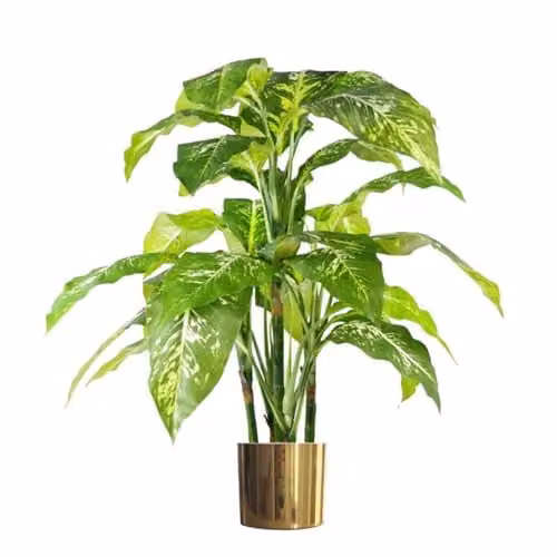 Leaf Design UK Large Fox's Aglaonema Spotted Evergreen Artificial Tree with Gold Planter, Green and Gold, Height: 100 cm