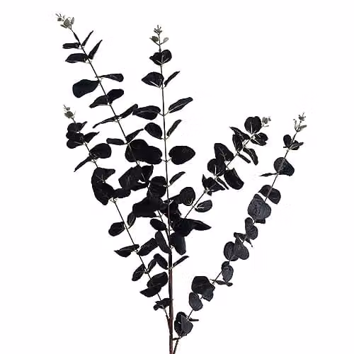 Leaf Design UK Mixed Orange and Black Artificial Flower Display with Transparent Glass Vase