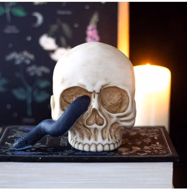 KDMD Haunting Skull Ornament with Serpent in White