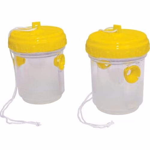 St Helens Home & Garden Non-Toxic Flying Insect Trap, Yellow, Pack of 2 – 1