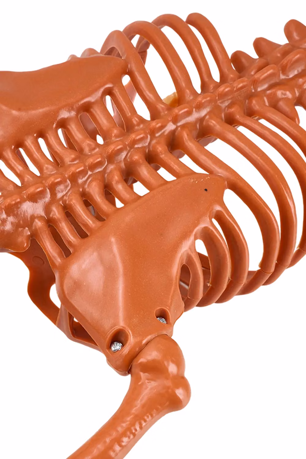 Living and Home Orange Posable Halloween Pumpkin Skeleton Hanging Decoration, Height: 93 cm – 3