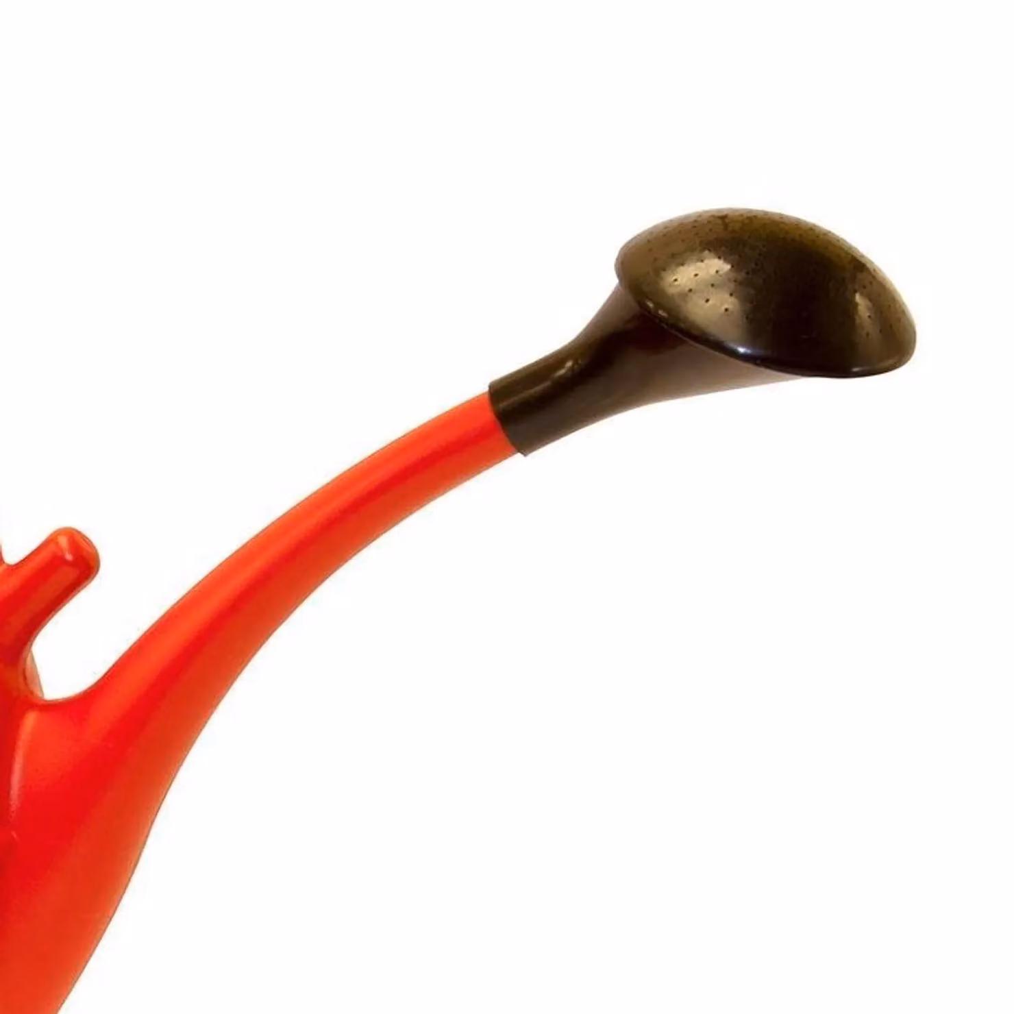 Ward 5L Plastic Watering Can with Rose in Red – 2
