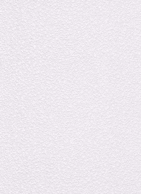 Erismann White Paintable Stipple Textured Vinyl Wallpaper