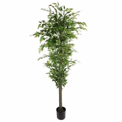 Leaf Design UK Green Artificial Ficus Tree, H 180 cm x W 70 cm x D 70 cm – 1