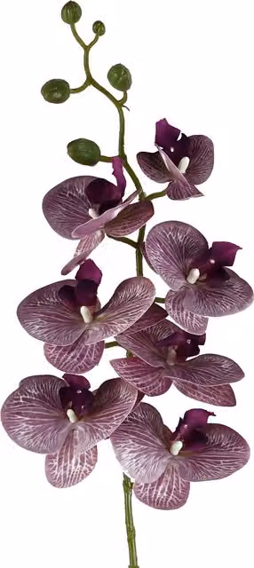 Artificial Purple Phalaenopsis Orchid Stem, 100 cm Height