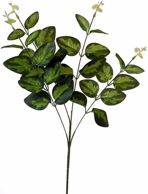 Lemon Pavilion Variegated Leaf Spray Green W20 x H62 cm