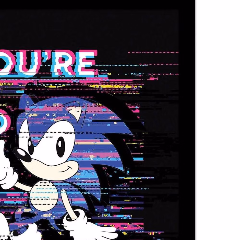 Sonic the Hedgehog You Are Too Slow Multicolour Framed Paper Poster in Black – 2