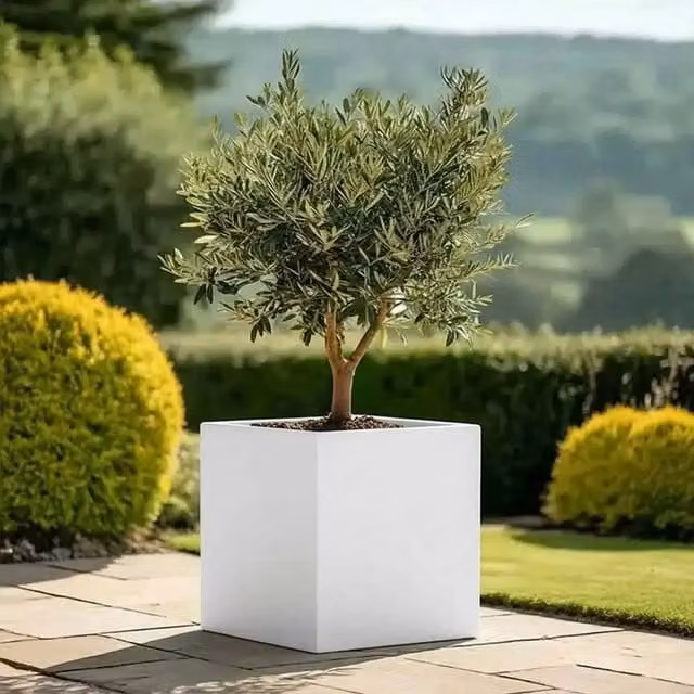 Matte White Square Galvanised Steel Planter Tub, 50 cm