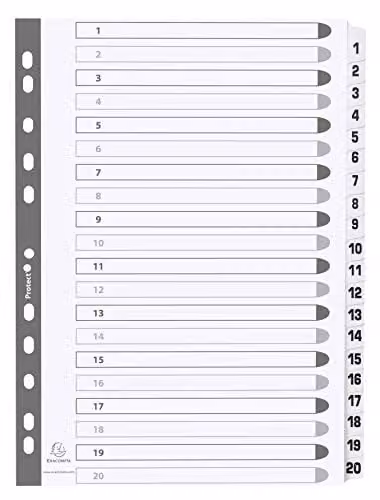Exacompta Mylar Printed 20-Part Dividers for A4 Documents, 160gsm White Card with Reinforced Plastic Tabs, 1-20