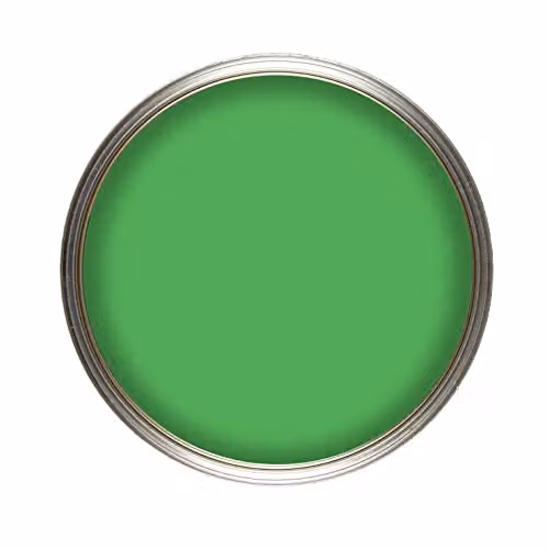 Vintro Luxury Matt Emulsion Multi Surface Paint in Bright Green Rainforest, 1 l – 2