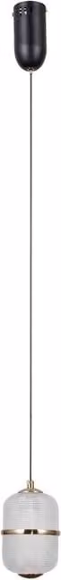 Netlighting Alani Slim Pendant Ceiling Light in Matt Black and Gold with Warm White LED – 1