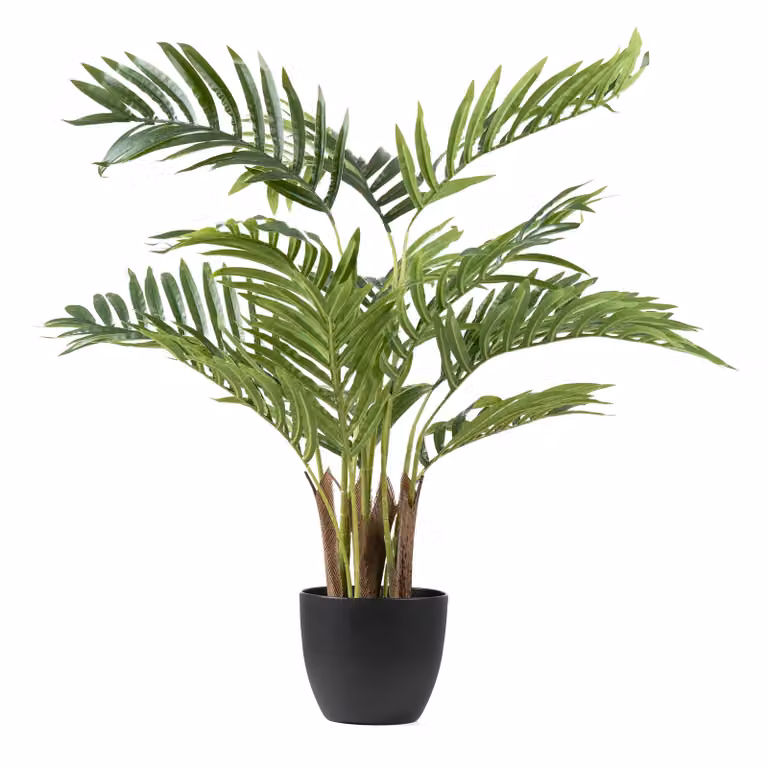 Scottish Everlastings Ltd Real Touch Areca Palm Tree, Green, Height: 70 cm