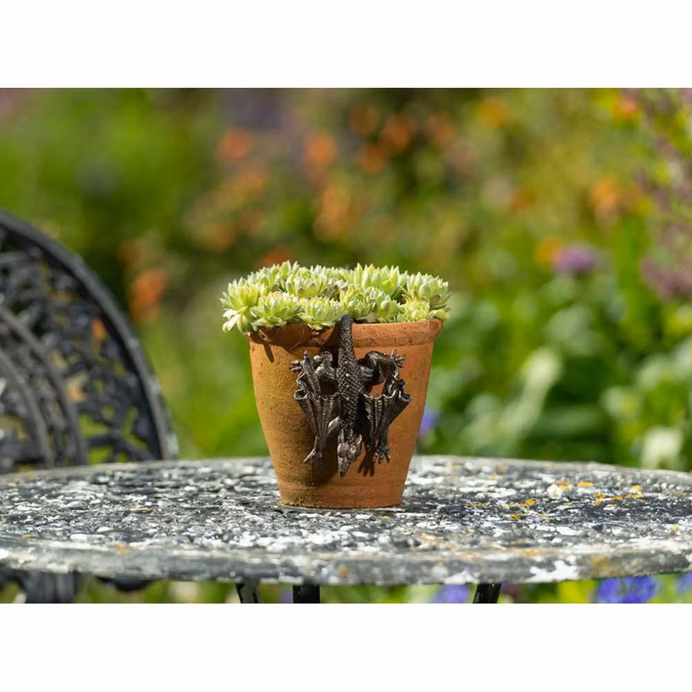 Jardinopia Antique Bronze Dragon Pot Buddy Hanging Plant Pot Hanger – 3